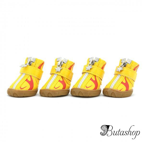 РАСПРОДАЖА! Ботинки на молнии для собак - butashop.com